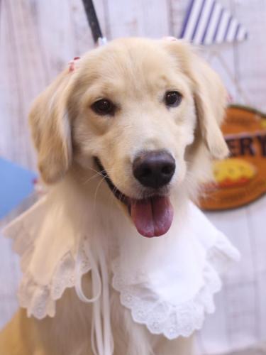 20240920ナナちゃん